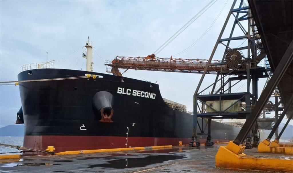 Exportação alcança 64% da movimentação de cargas no Porto de São Francisco do Sul