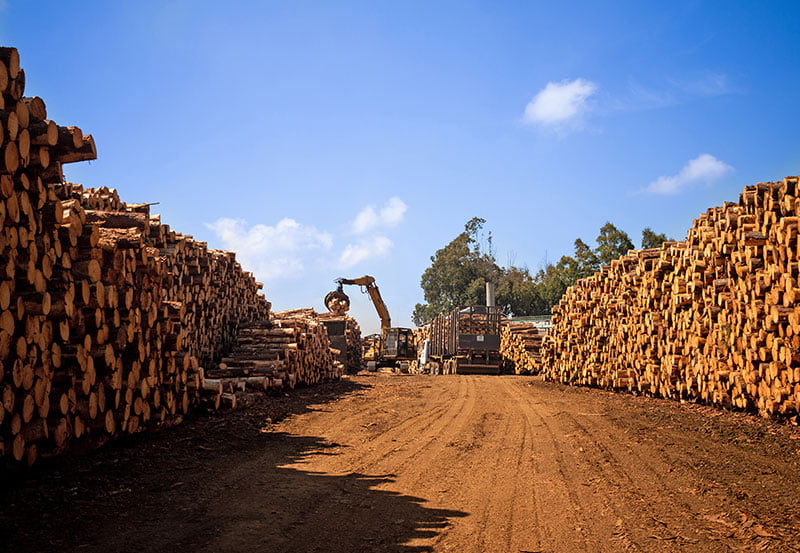 Quase metade dos móveis de madeira maciça exportados pelo Brasil é de SC