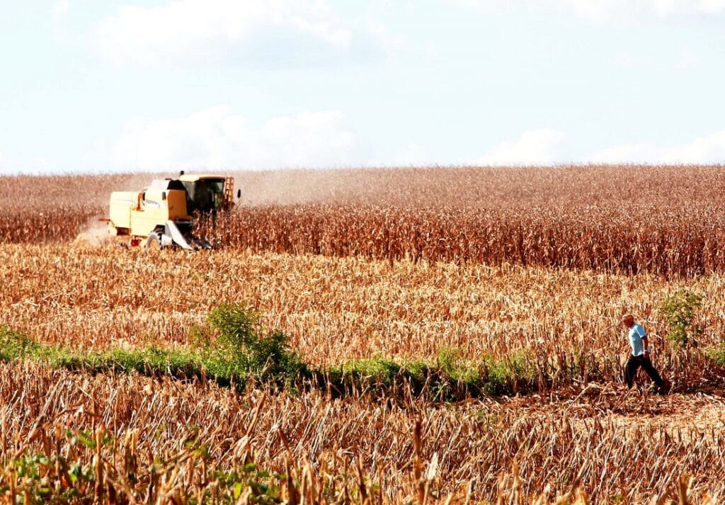 Economia de Santa Catarina é a que mais cresce entre os estados do Sul e Sudeste