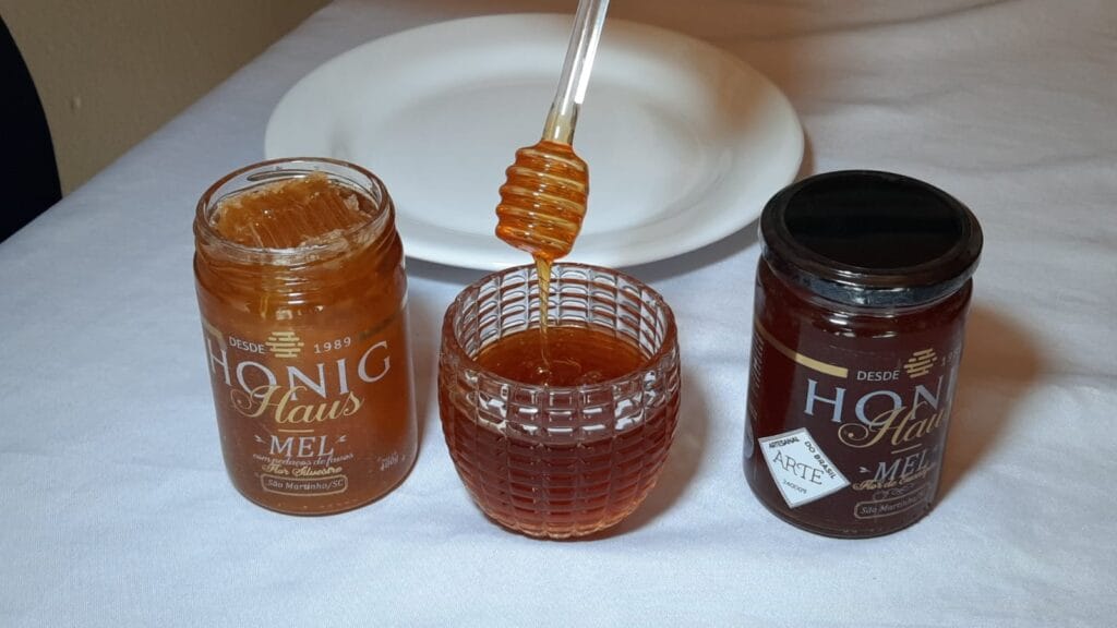 Dia Nacional do Mel: Santa Catarina é responsável por cerca de 6,5% da produção no Brasil