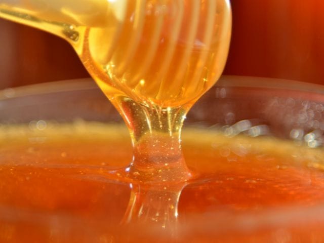 Santa Catarina é o terceiro maior exportador de mel do Brasil e se destaca na produção nacional