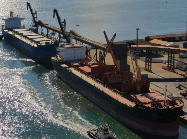 Pecuária lidera exportações do agro catarinense em 2024, com destaque para carne de frango e suína