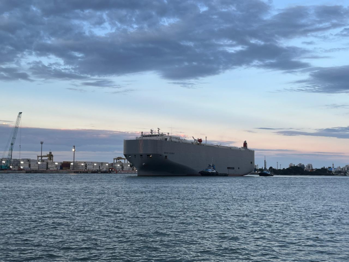 Porto de Itajaí recebe carga de veículos de luxo nesta terça-feira (20)