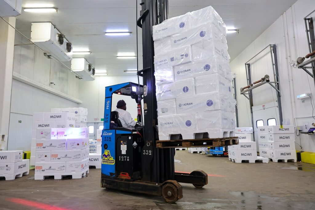 Atividade econômica de Santa Catarina cresce 6,1% nos cinco primeiros meses do ano