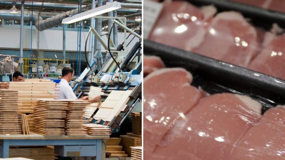 De madeira a carne suína: os produtos de SC mais vendidos aos Estados Unidos