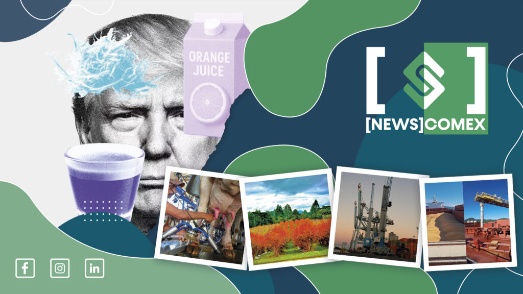 [NEWS]COMEX - Week 31 | 2025