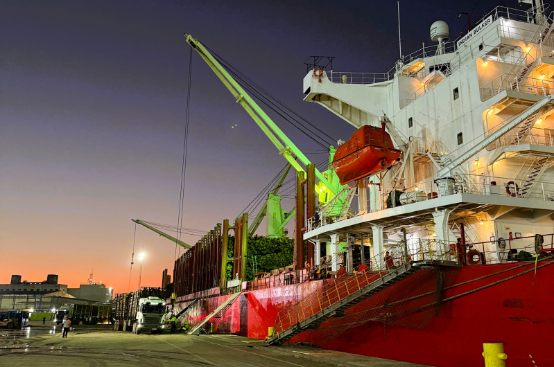 Santa Catarina lidera exportações de madeira no Brasil no primeiro semestre de 2025