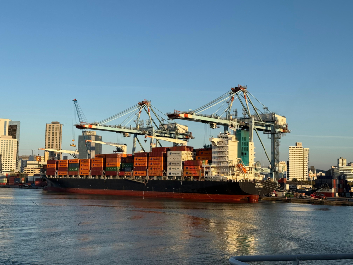 Porto de Itajaí cresce 1.494% e consolida retomada histórica