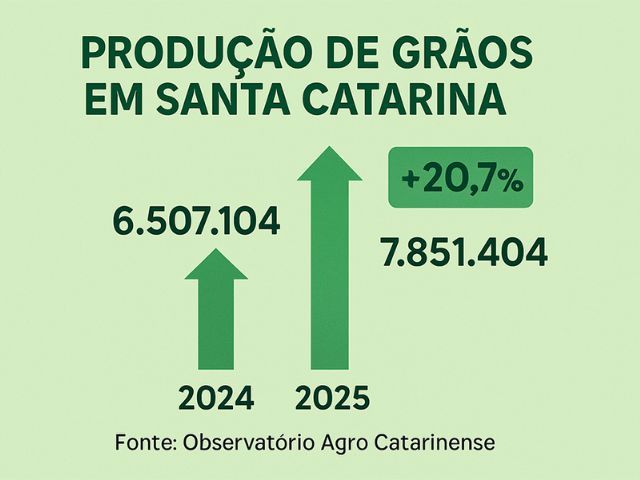 Santa Catarina tem safra recorde de grãos em 2025 com alta de 20,7%