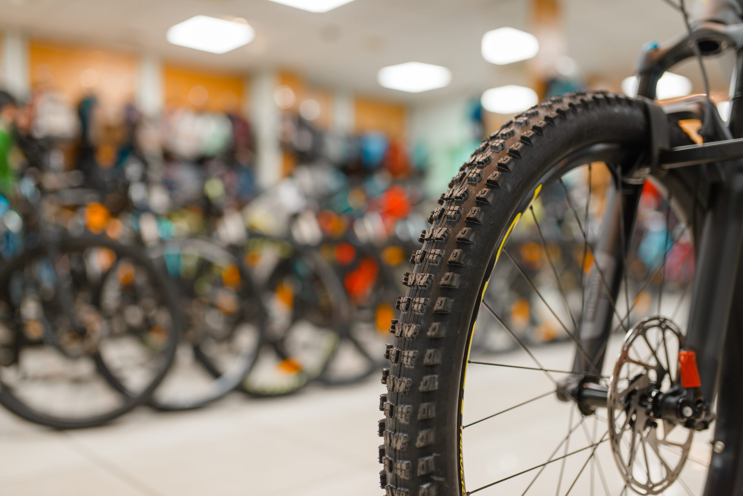 Mountain bicycle in sports shop, focus on front wheel, nobody. Summer active leisure, showcase with bikes, cycle sale, professional biking equipment