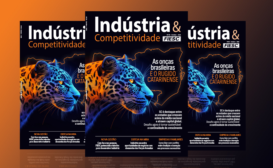 O que impulsiona o desempenho superior de Santa Catarina