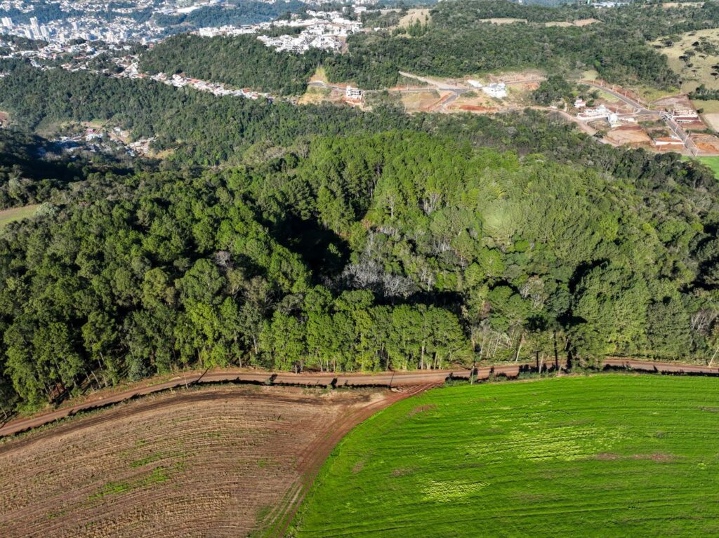 Programa Estrada Boa Rural ganha ritmo e já conta com 42 solicitações de municípios catarinenses