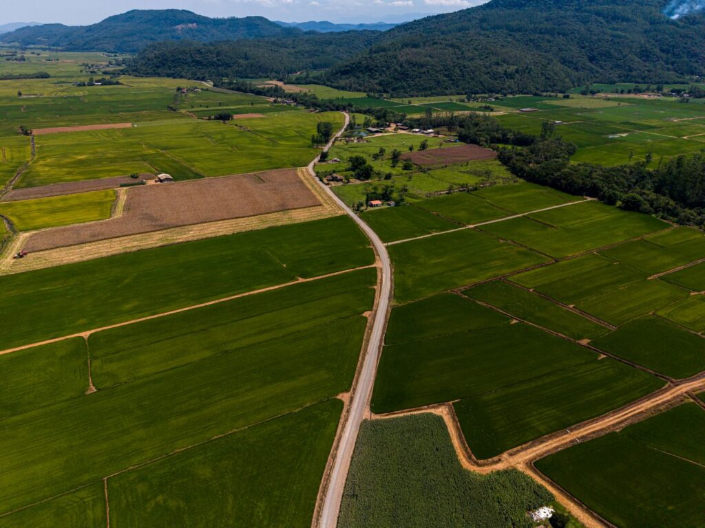 Em Nova Veneza, governador assina ordem de serviço para pavimentação da Rodovia Transpolenteira