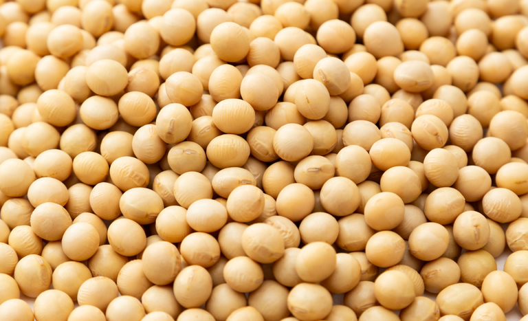 Aberturas de mercado para o Brasil no México e nas Filipinas