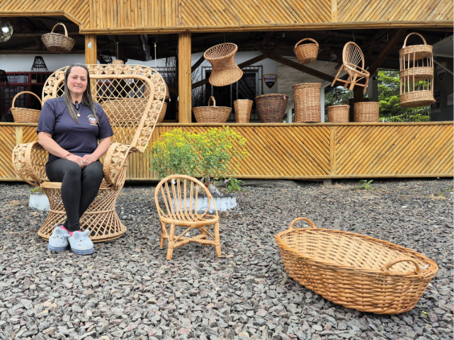 Com apoio da Epagri, vime transcende gerações, fomenta a economia e vira solução ambiental na Serra Catarinense