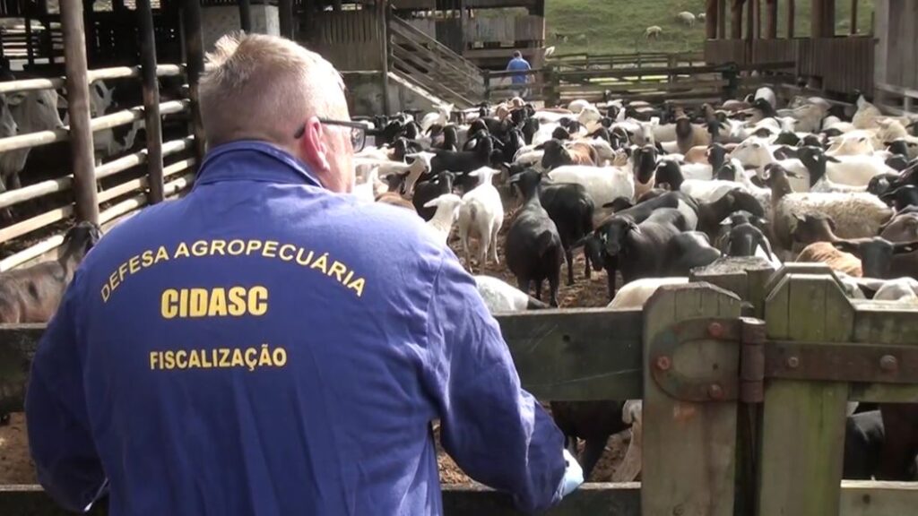 Dia do Agronegócio: setor é uma das forças da economia catarinense alcançando recordes de produção e exportação