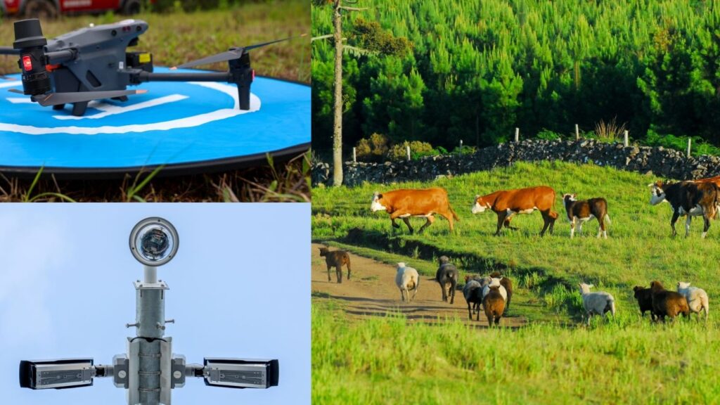 Programa Olho Bom moderniza o controle de trânsito de animais e fortalece a defesa agropecuária com tecnologia e inovação em SC