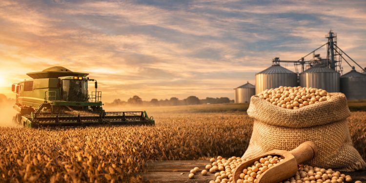 Guerra no Oriente Médio impulsiona commodities agrícolas em março, com destaque para a soja