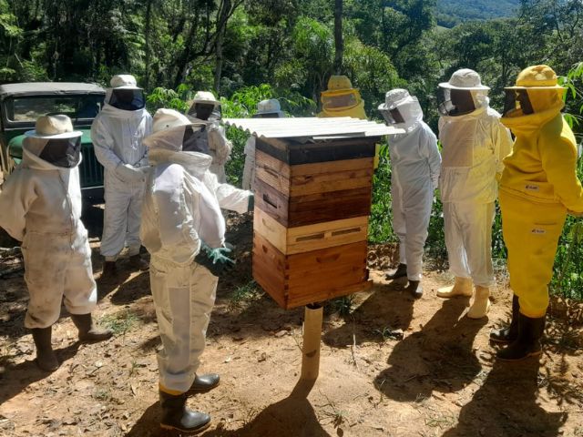 Secretaria da Agricultura e Epagri investem na qualificação da apicultura catarinense