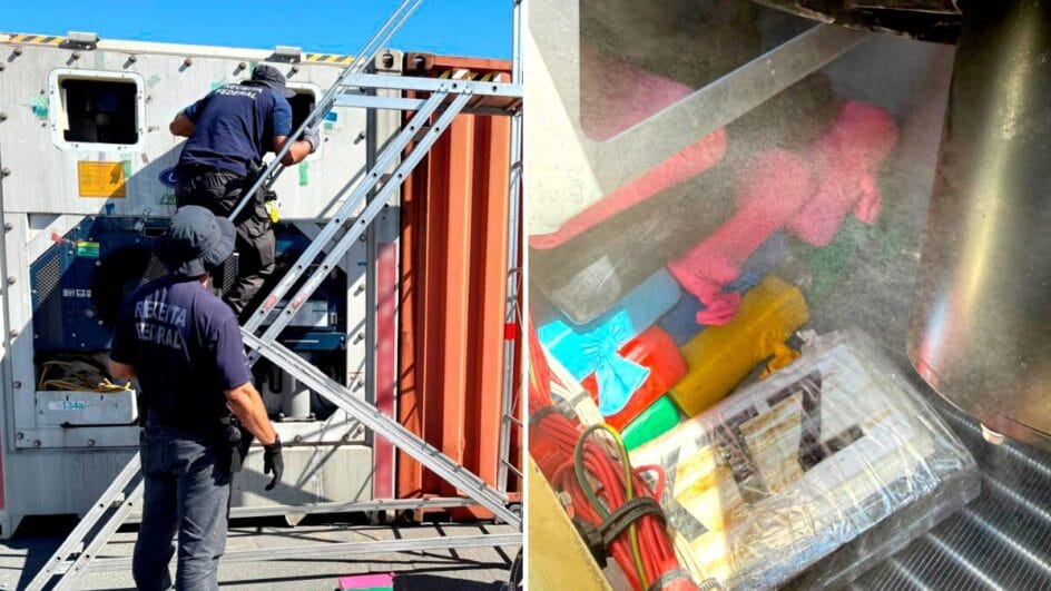 Carga de frango escondia cocaína que seria traficada para a Europa através de porto de SC