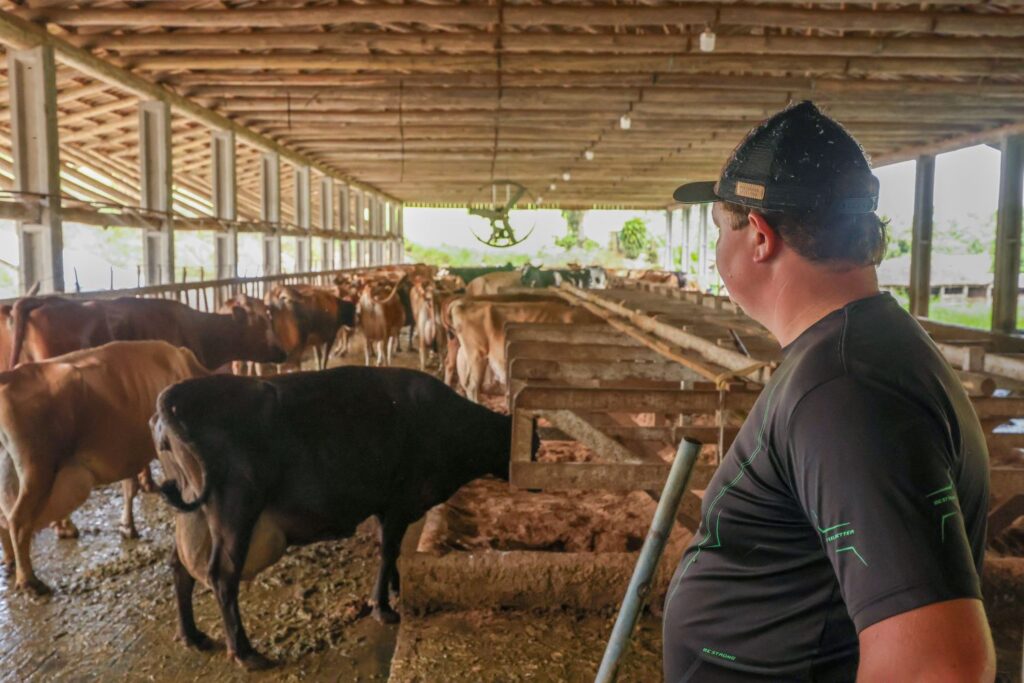 Programa estadual Pronampe Leite fecha o primeiro mês com R$ 84 milhões em operações