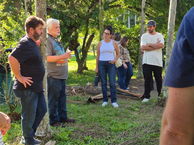 Produção de açaí juçara no sistema agroflorestal se torna alternativa de renda para agricultor de Itajaí