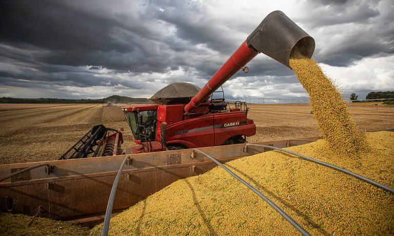 Colheitadeira CASEIH distribuindo grãos de milho em um campo agrícola ao ar livre, com o redemoinho de grãos saindo da calha e céu nublado ao fundo.