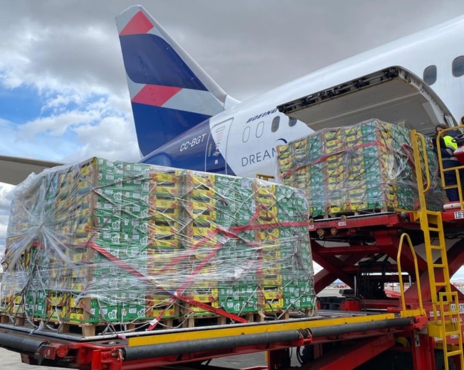 Aeronave no pátio com carga de caixas e volumes embalados em paletes abertos na rampa de carga, com o céu nublado ao fundo.