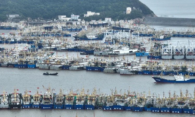 Vista aérea de um grande porto militar com muitos navios e embarcações alinhados no cais, na costa ao lado de uma colina coberta por vegetação.
