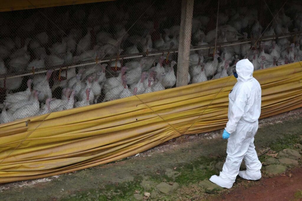 Pessoa em traje de proteção química branco observa uma estrutura de contenção amarela em área cercada com rede e muitos resíduos, em ambiente industrial.